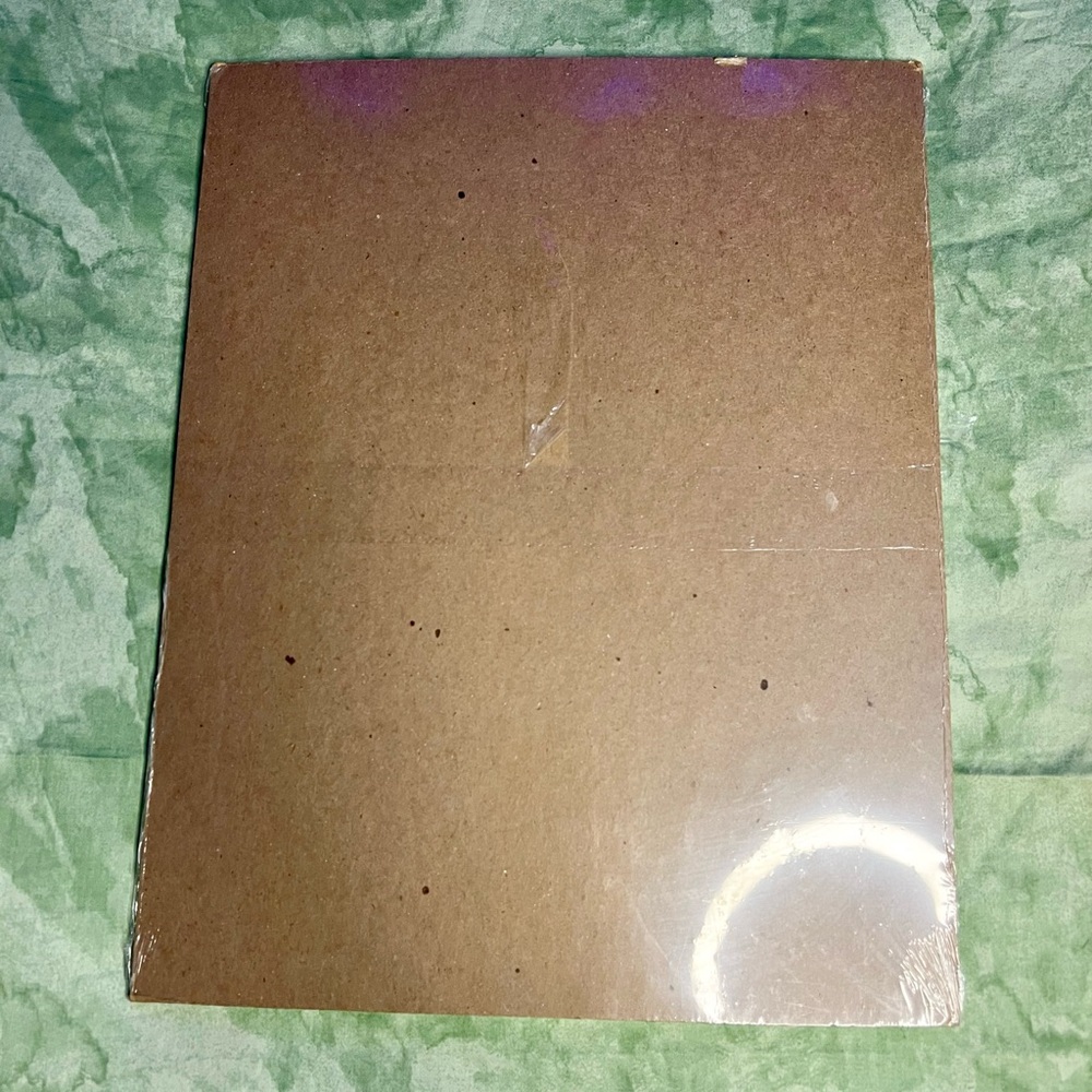 NWT Map of Florida Puzzle - Picture 4 of 4
